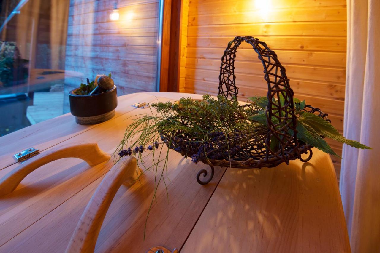 Pinus Villas Lodge With Private Jacuzzi & Phyto-Sauna Retreat Zheleznitsa Exterior photo
