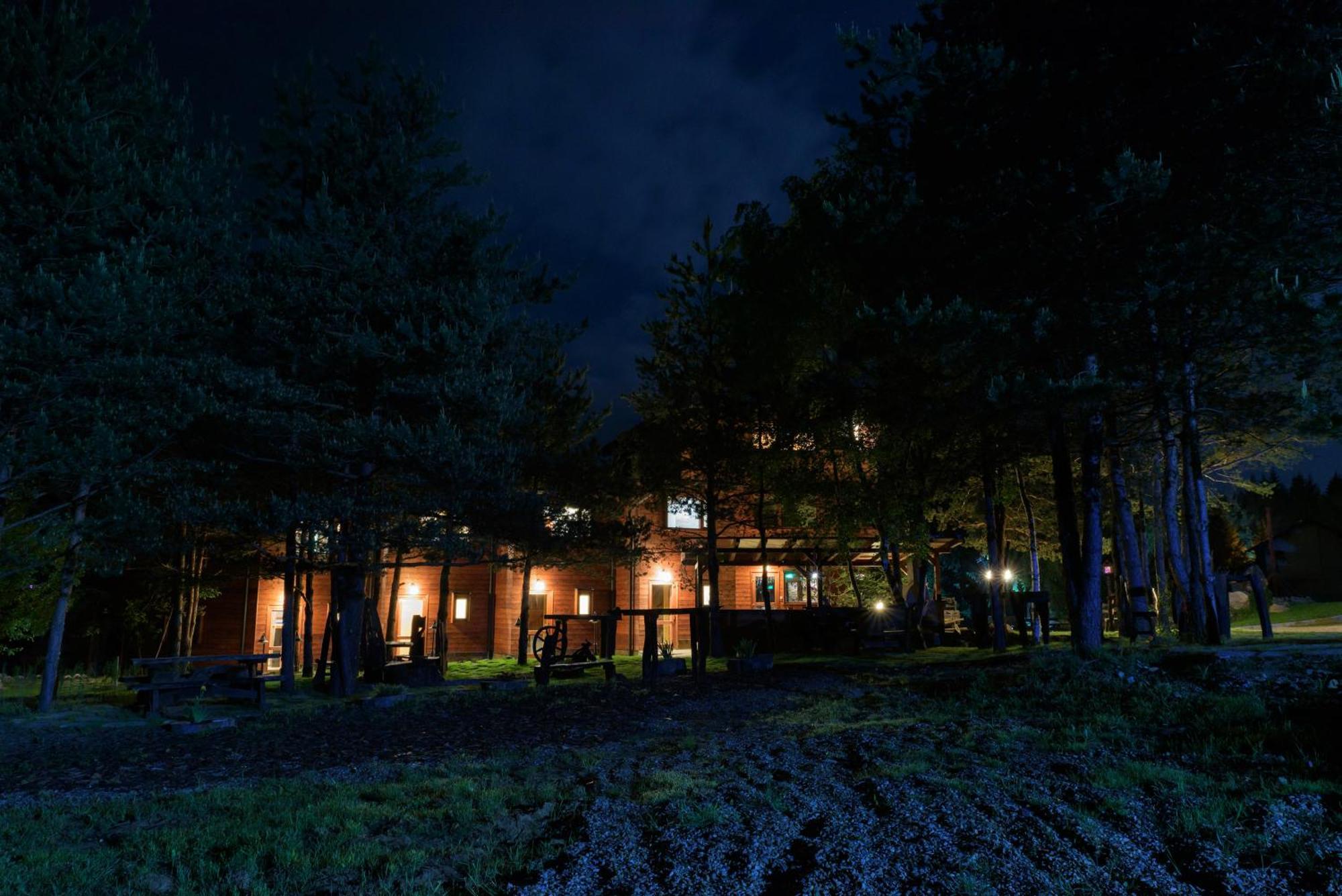 Pinus Villas Lodge With Private Jacuzzi & Phyto-Sauna Retreat Zheleznitsa Exterior photo